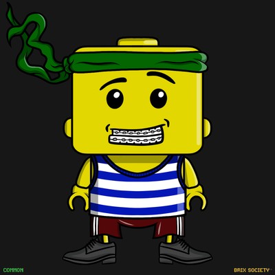 MiniBrix #1797