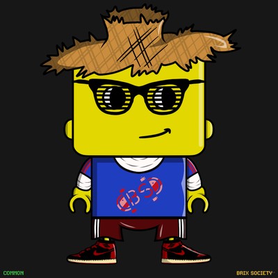 MiniBrix #1847