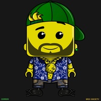 MiniBrix #1870