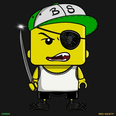 MiniBrix #1888