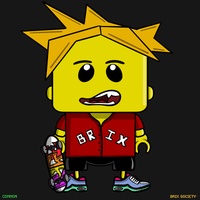 MiniBrix #2004