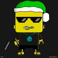 MiniBrix #2013