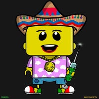 MiniBrix #2016