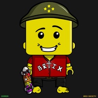 MiniBrix #2058