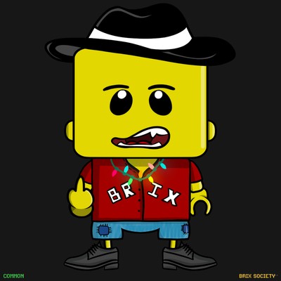 MiniBrix #2078