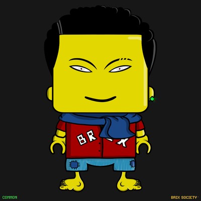 MiniBrix #2082