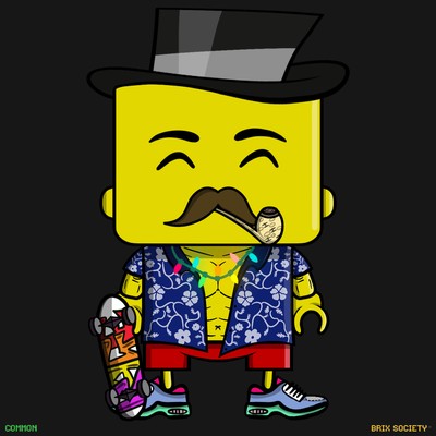 MiniBrix #2096