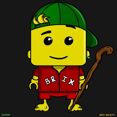 MiniBrix #2104