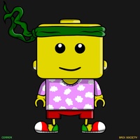 MiniBrix #2116