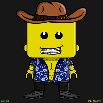MiniBrix #2147