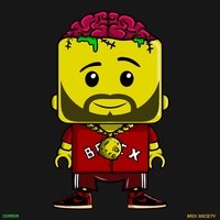MiniBrix #2221