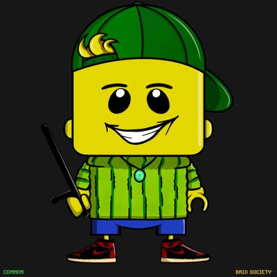 MiniBrix #2251