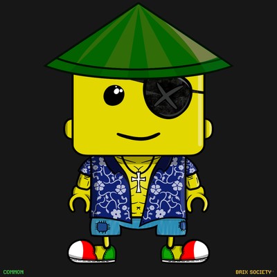 MiniBrix #2333