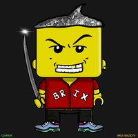 MiniBrix #2356