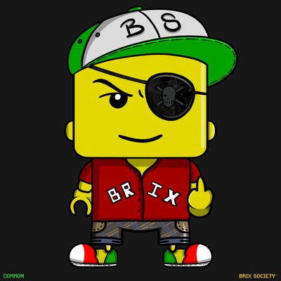 MiniBrix #2364