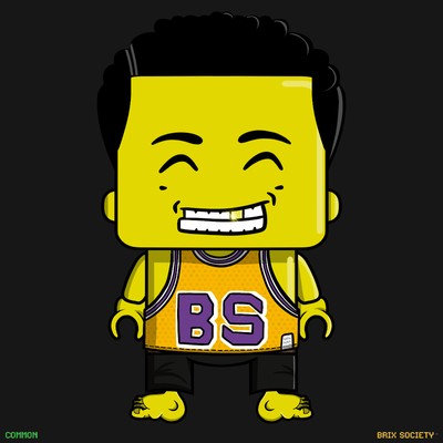 MiniBrix #2419