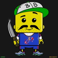 MiniBrix #2491