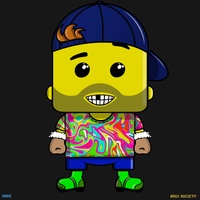 MiniBrix #2509
