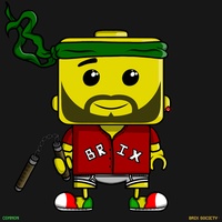 MiniBrix #2515