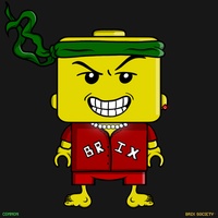 MiniBrix #2521