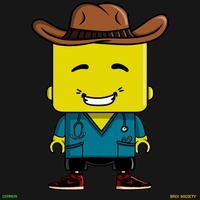MiniBrix #2529
