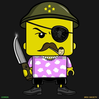 MiniBrix #2673