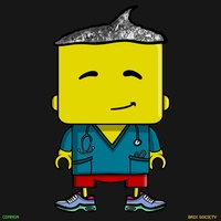 MiniBrix #2702
