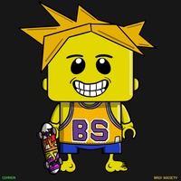 MiniBrix #2713