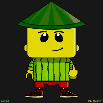 MiniBrix #2808