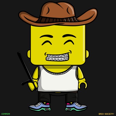 MiniBrix #2820