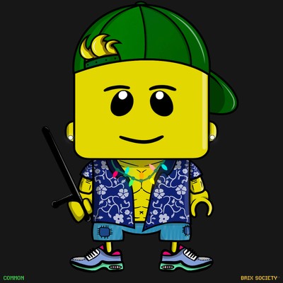 MiniBrix #2829