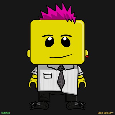 MiniBrix #2896