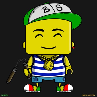 MiniBrix #2918