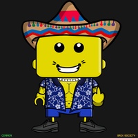 MiniBrix #2921