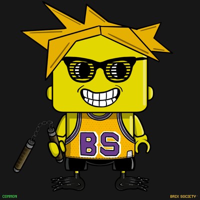 MiniBrix #2936