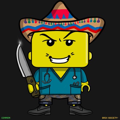 MiniBrix #2960