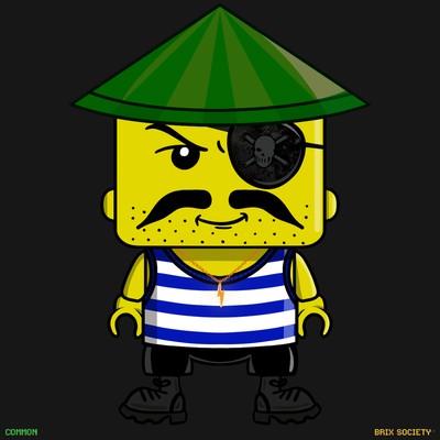 MiniBrix #3048