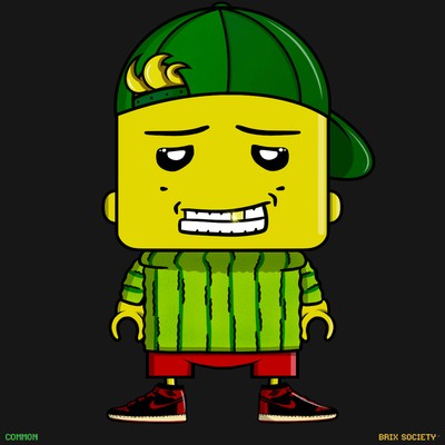 MiniBrix #3300