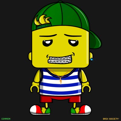 MiniBrix #3310
