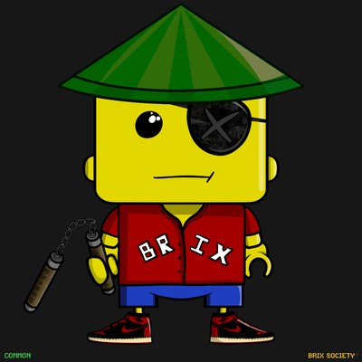MiniBrix #3381
