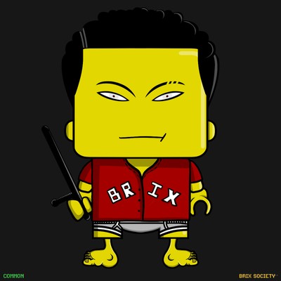 MiniBrix #3560