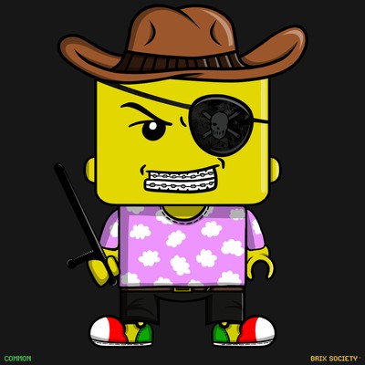 MiniBrix #3716