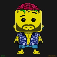 MiniBrix #4247