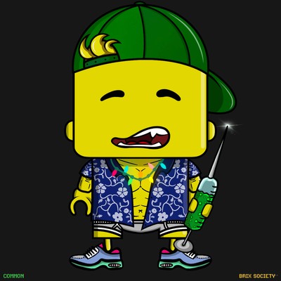 MiniBrix #4271