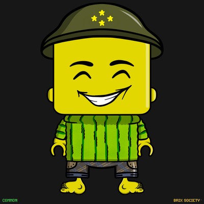 MiniBrix #4352