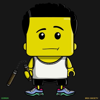 MiniBrix #4474