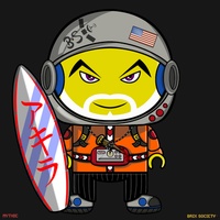 MiniBrix #4577
