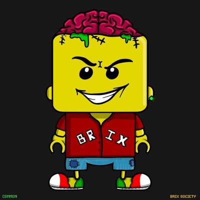 MiniBrix #4754