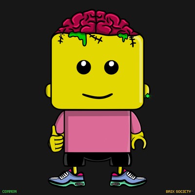 MiniBrix #4920