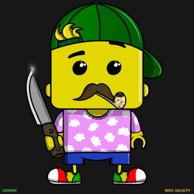 MiniBrix #4923